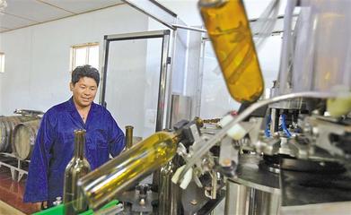 2019年西藏非公經(jīng)濟擴量提質活力澎湃取得豐碩成果