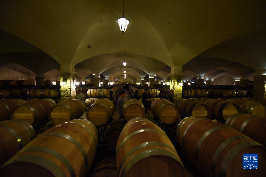 小葡萄撬動大產業(yè)