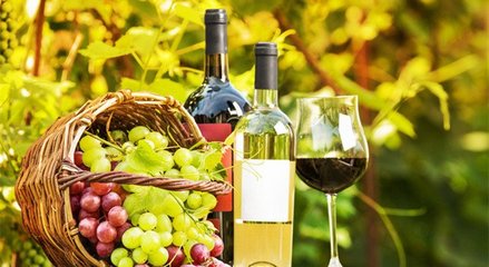 藍(lán)菲葡萄酒學(xué)院丨終于搞清楚有機(jī)葡萄酒、生物動(dòng)力法葡萄酒了!