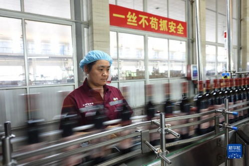 小葡萄撬動(dòng)大產(chǎn)業(yè)